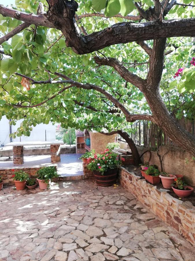 Villa Le Ginestre La Caletta Exterior foto